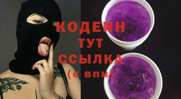 индика Новозыбков