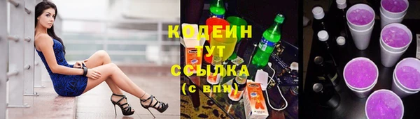 индика Новозыбков