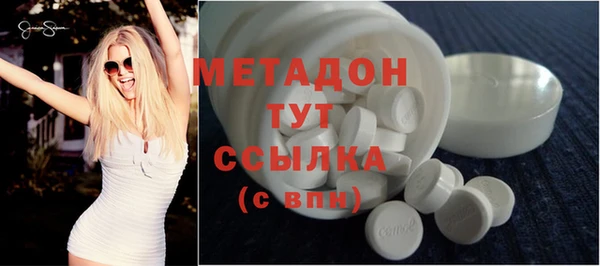 индика Новозыбков