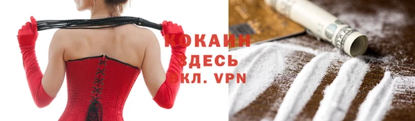 гашик Новодвинск