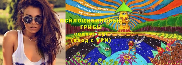 гашик Новодвинск