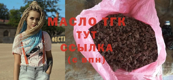 индика Новозыбков