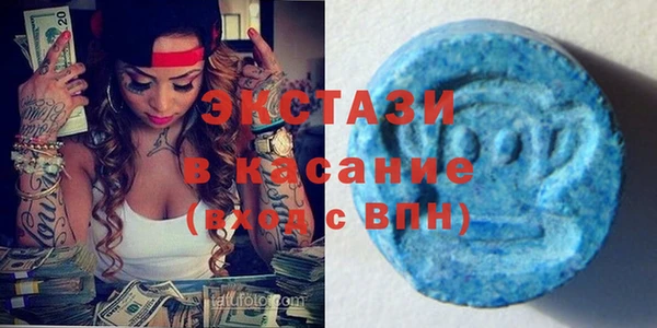 индика Новозыбков
