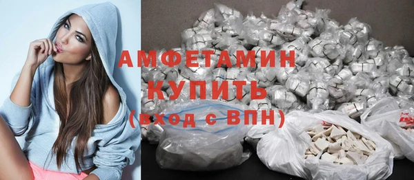 индика Новозыбков