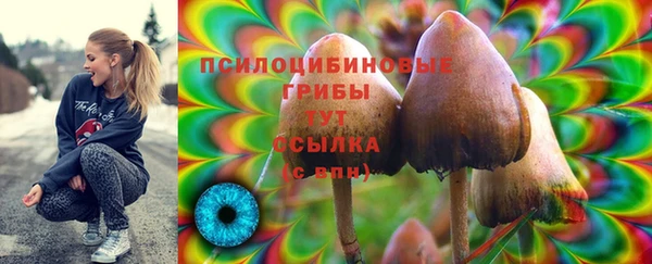 2c-b Нефтекумск