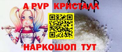 стаф Можга