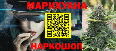 стаф Можга