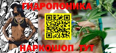 кокс Моздок