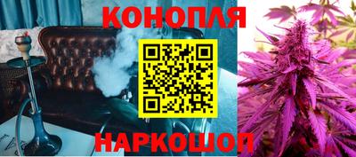 стаф Можга