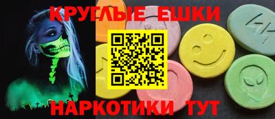 стаф Можга