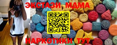 стаф Можга
