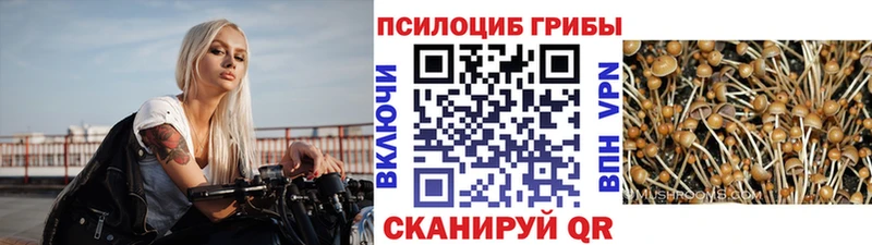 Галлюциногенные грибы GOLDEN TEACHER  Родники 