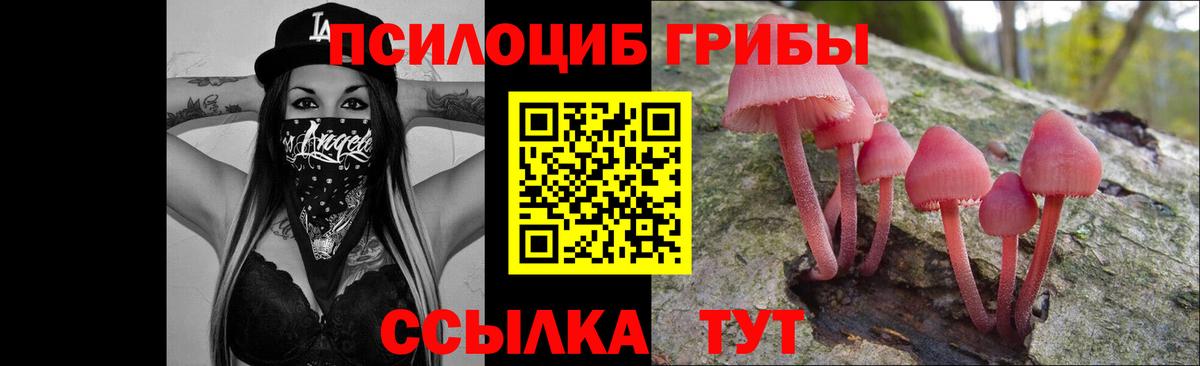 Галлюциногенные грибы Cubensis  Вход с VPN  Родники  Галлюциногенные грибы прущие грибы 